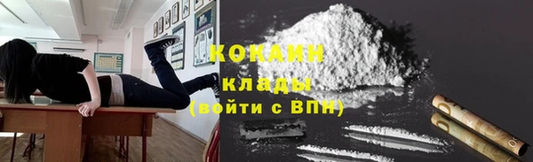 гашиш Богданович