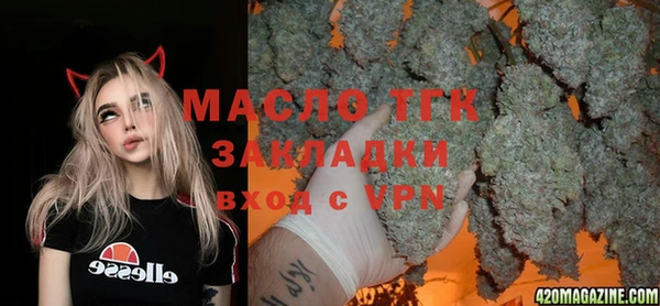 гашиш Богданович
