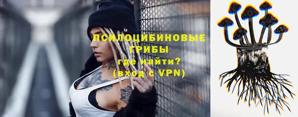 гашиш Богданович