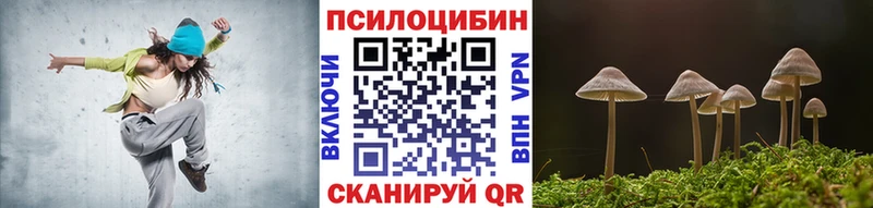 Галлюциногенные грибы Psilocybine cubensis Сосногорск